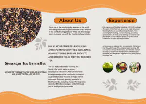 Tea Trifold Brochure Front